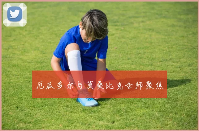 厄瓜多尔与莫桑比克会师聚焦