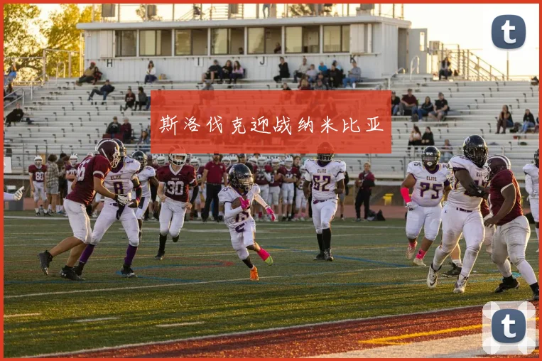 斯洛伐克迎战纳米比亚