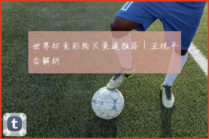 世界杯竞彩购买渠道推荐｜正规平台解析