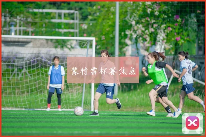 蒙特雷杯赛焦点