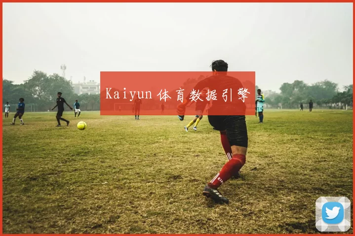 Kaiyun 体育数据引擎