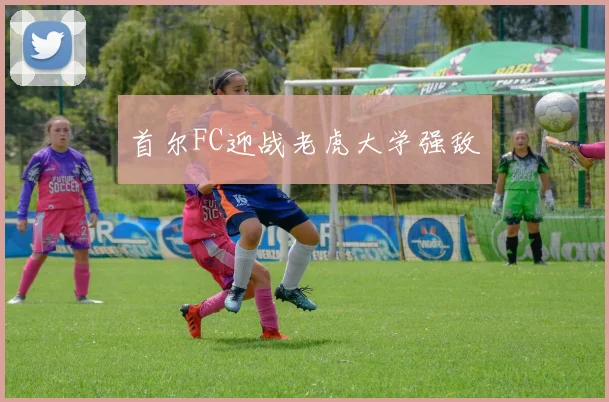 首尔FC迎战老虎大学强敌