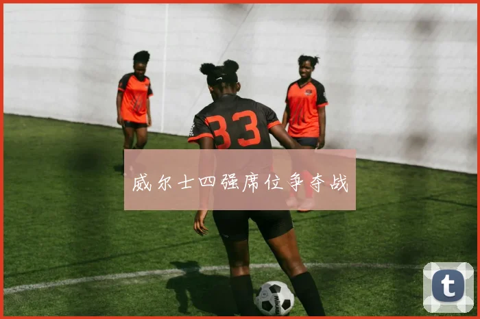威尔士四强席位争夺战