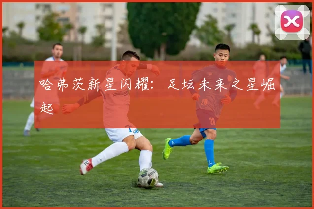 哈弗茨新星闪耀：足坛未来之星崛起