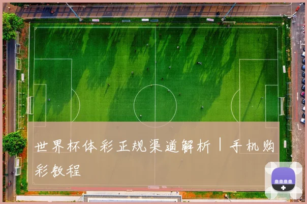 世界杯体彩正规渠道解析|手机购彩教程