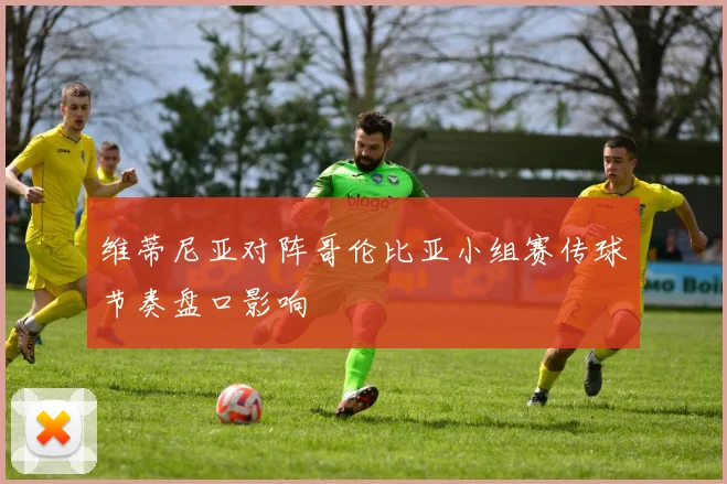 维蒂尼亚对阵哥伦比亚小组赛传球节奏盘口影响