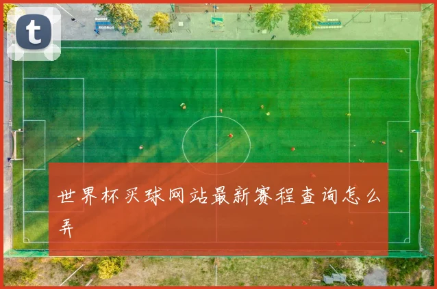 世界杯买球网站最新赛程查询怎么弄