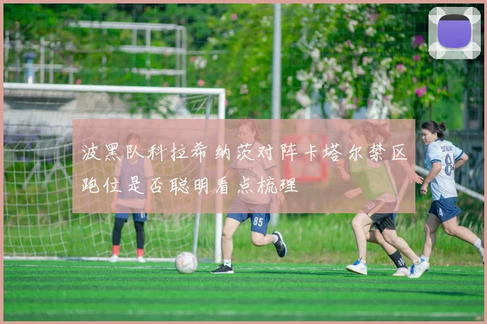 波黑队科拉希纳茨对阵卡塔尔禁区跑位是否聪明看点梳理