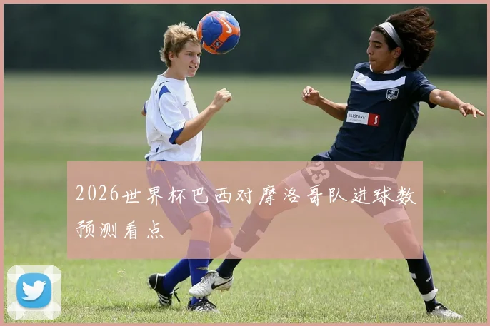 2026世界杯巴西对摩洛哥队进球数预测看点